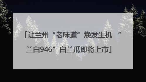 让兰州“老味道”焕发生机 “兰白946”白兰瓜即将上市