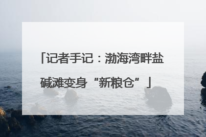 记者手记：渤海湾畔盐碱滩变身“新粮仓”