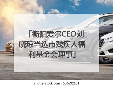 衡阳爱尔CEO刘晓琼当选市残疾人福利基金会理事