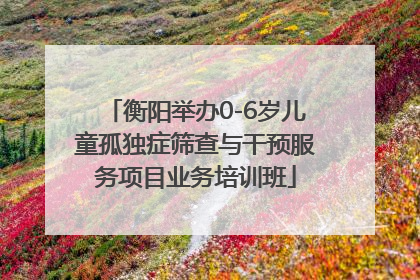 衡阳举办0-6岁儿童孤独症筛查与干预服务项目业务培训班