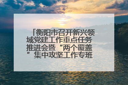 衡阳市召开新兴领域党建工作重点任务推进会暨“两个覆盖”集中攻坚工作专班 第一次会议