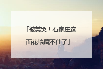 被美哭！石家庄这面花墙藏不住了