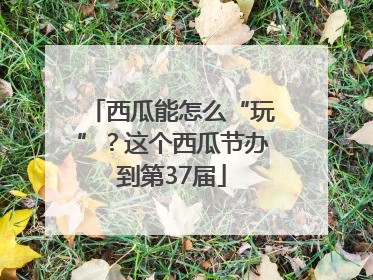 西瓜能怎么“玩”？这个西瓜节办到第37届