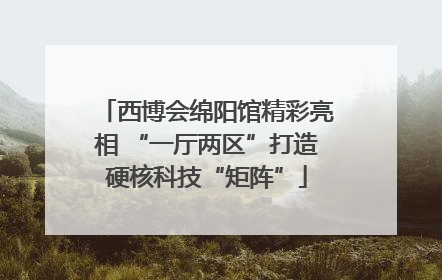 西博会绵阳馆精彩亮相 “一厅两区”打造硬核科技“矩阵”