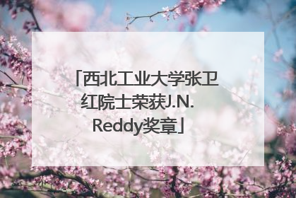 西北工业大学张卫红院士荣获J.N.Reddy奖章