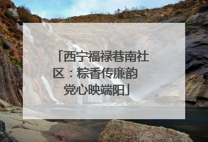 西宁福禄巷南社区：粽香传廉韵 党心映端阳