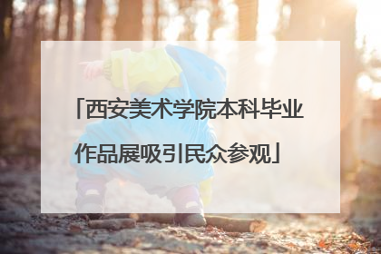 西安美术学院本科毕业作品展吸引民众参观