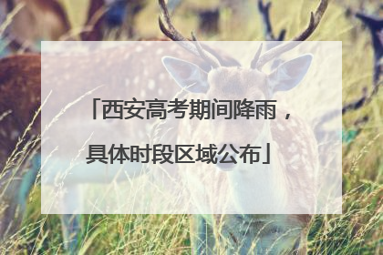 西安高考期间降雨，具体时段区域公布