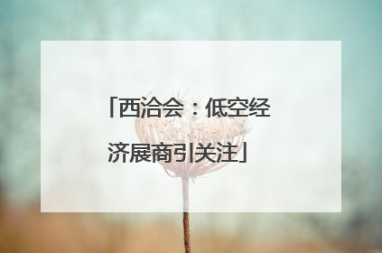 西洽会：低空经济展商引关注
