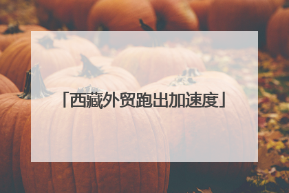 西藏外贸跑出加速度