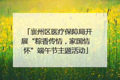 襄州区医疗保障局开展“粽香传情，家国情怀”端午节主题活动