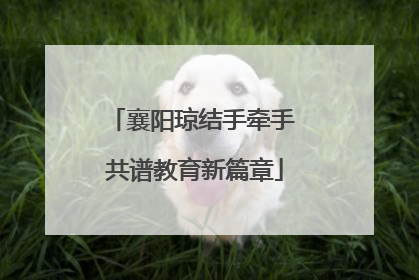 襄阳琼结手牵手 共谱教育新篇章