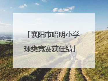 襄阳市昭明小学球类竞赛获佳绩
