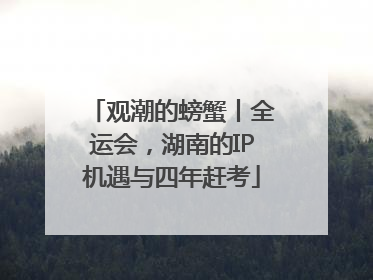 观潮的螃蟹丨全运会，湖南的IP机遇与四年赶考