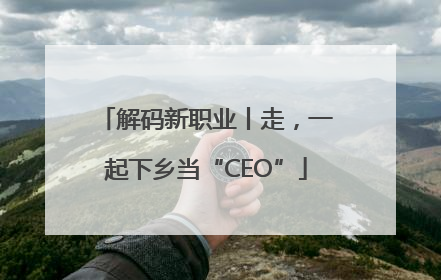 解码新职业丨走，一起下乡当“CEO”