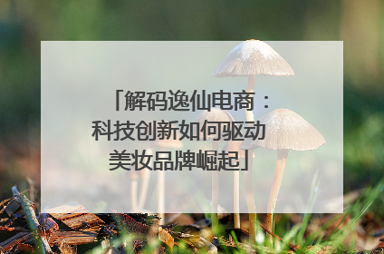 解码逸仙电商：科技创新如何驱动美妆品牌崛起