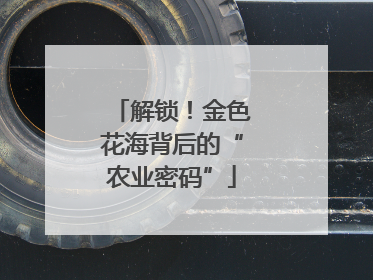 解锁！金色花海背后的“农业密码”