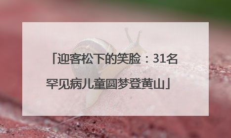 迎客松下的笑脸：31名罕见病儿童圆梦登黄山