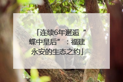 连续6年邂逅“蝶中皇后”：福建永安的生态之约