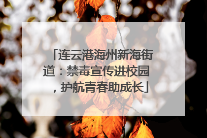 连云港海州新海街道：禁毒宣传进校园，护航青春助成长