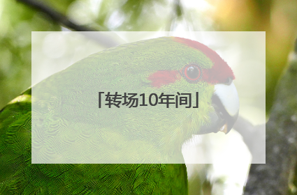 转场10年间