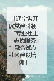 辽宁省开展党建引领“专业社工+志愿服务”融合试点社区建设培训