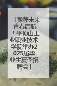 豫荐未来 青春启航！平顶山工业职业技术学院举办2025届毕业生夏季招聘会