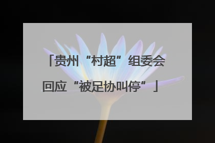 贵州“村超”组委会回应“被足协叫停”