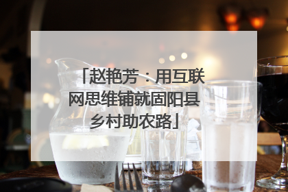 赵艳芳：用互联网思维铺就固阳县乡村助农路