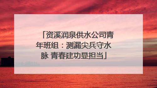 资溪润泉供水公司青年班组：测漏尖兵守水脉 青春建功显担当