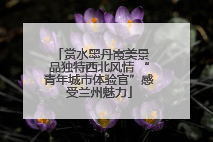 赏水墨丹霞美景 品独特西北风情 “青年城市体验官”感受兰州魅力