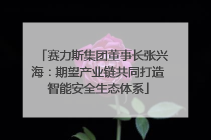 赛力斯集团董事长张兴海：期望产业链共同打造智能安全生态体系