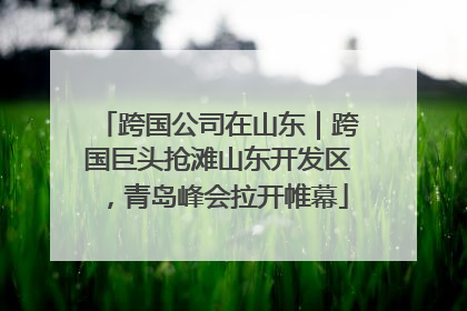 跨国公司在山东｜跨国巨头抢滩山东开发区，青岛峰会拉开帷幕
