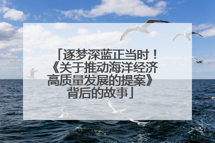 逐梦深蓝正当时！《关于推动海洋经济高质量发展的提案》背后的故事
