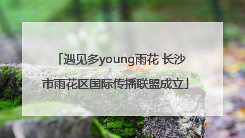 遇见多young雨花 长沙市雨花区国际传播联盟成立