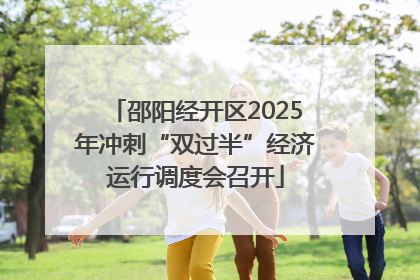 邵阳经开区2025年冲刺“双过半”经济运行调度会召开