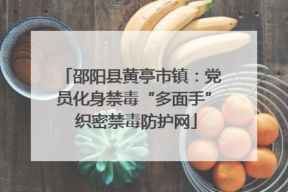 邵阳县黄亭市镇：党员化身禁毒“多面手” 织密禁毒防护网