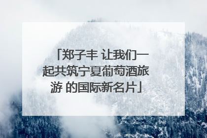 郑子丰 让我们一起共筑宁夏葡萄酒旅游 的国际新名片