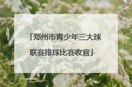 郑州市青少年三大球联赛排球比赛收官