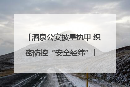 酒泉公安披星执甲 织密防控“安全经纬”