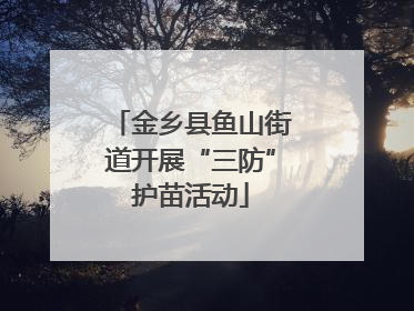 金乡县鱼山街道开展“三防”护苗活动