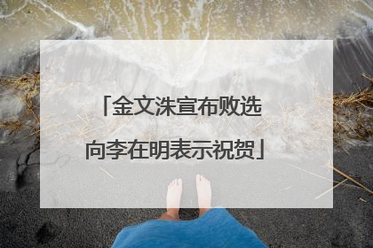 金文洙宣布败选 向李在明表示祝贺