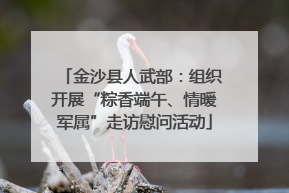 金沙县人武部：组织开展“粽香端午、情暖军属”走访慰问活动