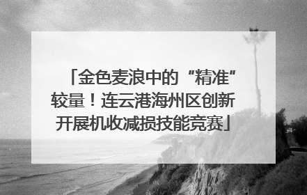 金色麦浪中的“精准”较量！连云港海州区创新开展机收减损技能竞赛