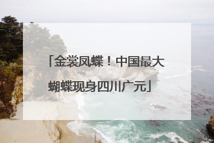 金裳凤蝶！中国最大蝴蝶现身四川广元