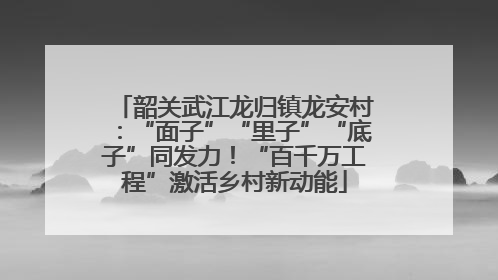 韶关武江龙归镇龙安村：“面子”“里子”“底子”同发力！“百千万工程”激活乡村新动能