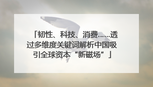 韧性、科技、消费……透过多维度关键词解析中国吸引全球资本“新磁场”