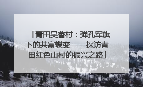 青田吴畲村：弹孔军旗下的共富蝶变——探访青田红色山村的振兴之路