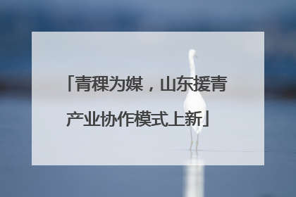 青稞为媒，山东援青产业协作模式上新