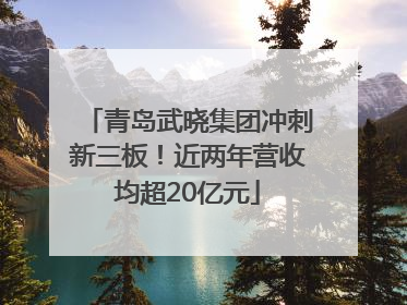 青岛武晓集团冲刺新三板！近两年营收均超20亿元